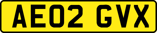 AE02GVX