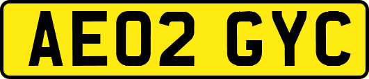 AE02GYC
