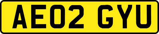 AE02GYU