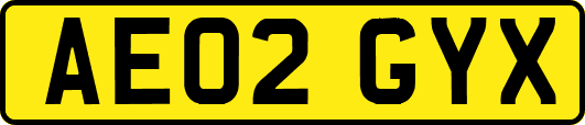 AE02GYX