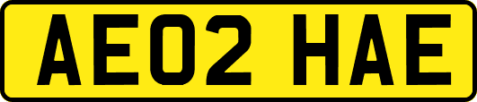 AE02HAE