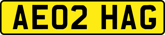 AE02HAG