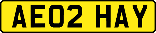 AE02HAY