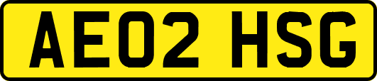 AE02HSG