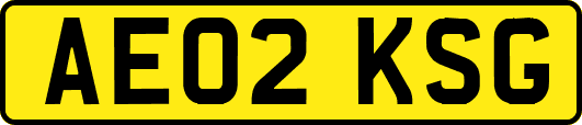 AE02KSG