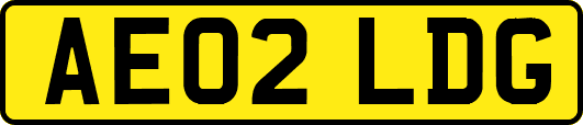 AE02LDG