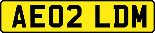 AE02LDM