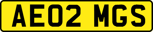 AE02MGS