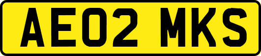 AE02MKS