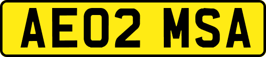 AE02MSA