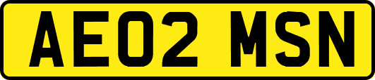 AE02MSN