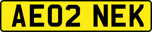 AE02NEK