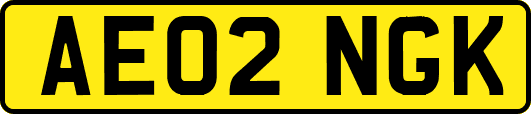 AE02NGK