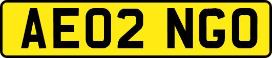 AE02NGO