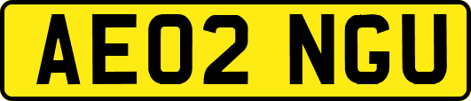 AE02NGU