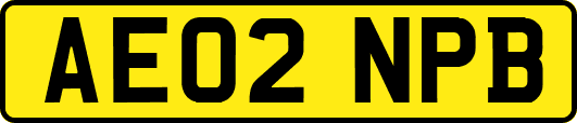 AE02NPB