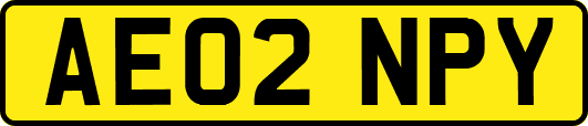 AE02NPY