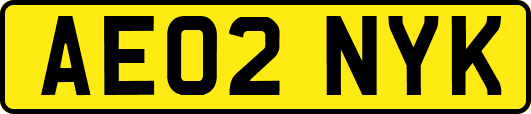 AE02NYK