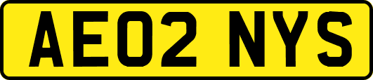 AE02NYS