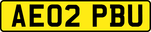 AE02PBU
