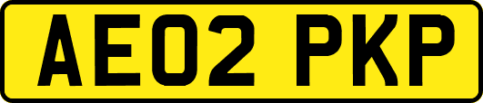 AE02PKP