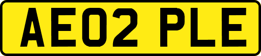 AE02PLE