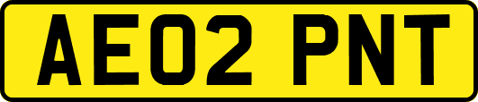 AE02PNT