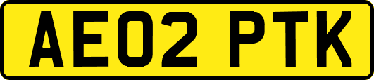 AE02PTK