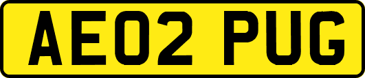 AE02PUG