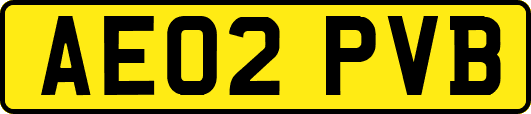 AE02PVB