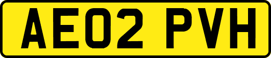 AE02PVH