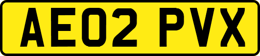 AE02PVX