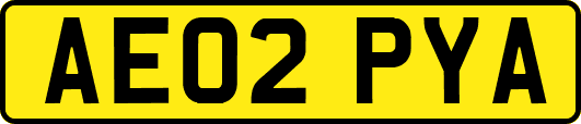 AE02PYA