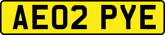 AE02PYE