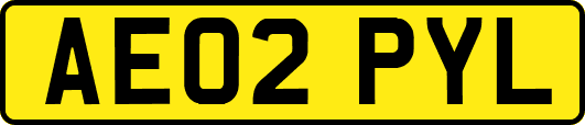 AE02PYL