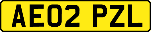 AE02PZL