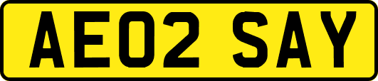 AE02SAY