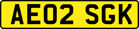 AE02SGK