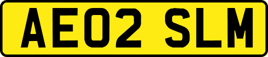 AE02SLM