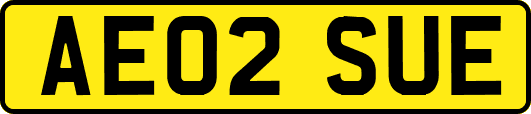 AE02SUE