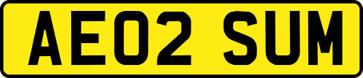 AE02SUM