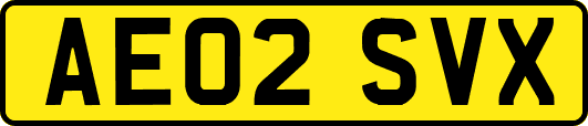 AE02SVX