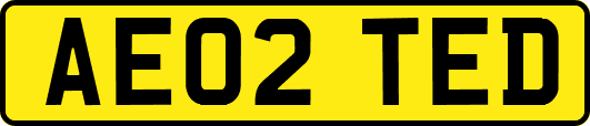 AE02TED