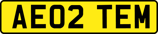 AE02TEM