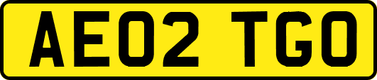 AE02TGO