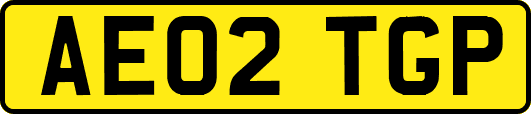 AE02TGP