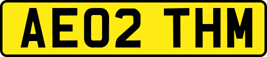 AE02THM