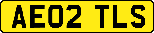 AE02TLS