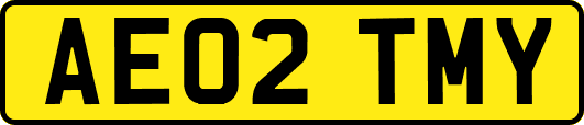 AE02TMY
