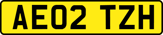 AE02TZH